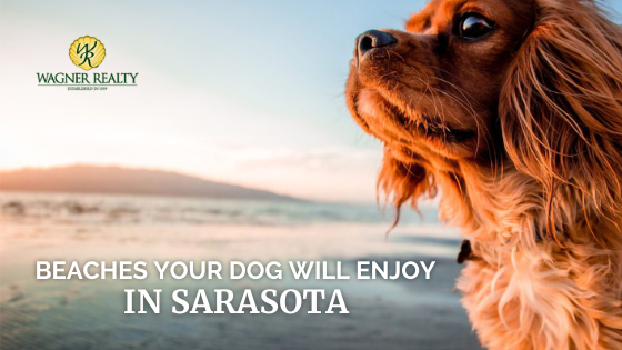 Sarasota Beaches